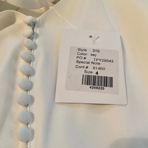 Adrianna Papell Wedding Dress - Never Worn! - Picture 11 of 12